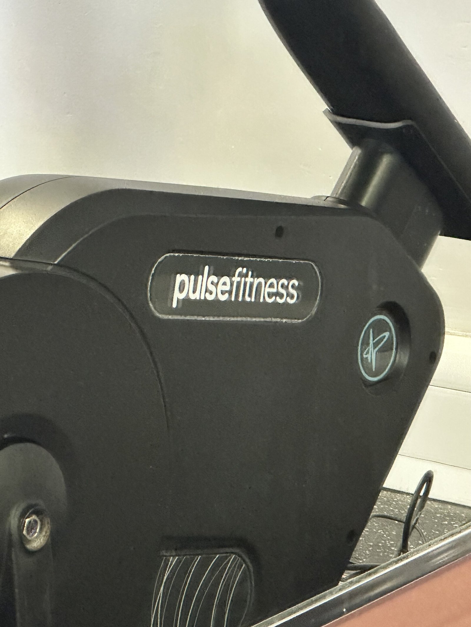 Sample Gym & Fitness